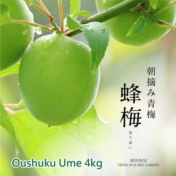 HOUBAI (Oushuku Ume)4kg[Limited to domestic shipping][Oushuku Ume and Nanko Ume cannot be ordered together]