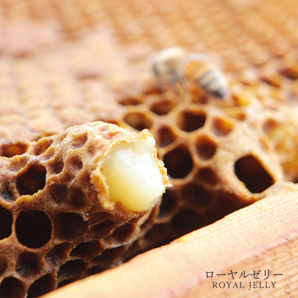 Manuka Honey with 3% Fresh Royal Jelly (5g×90sticks)+(500g/bottle)