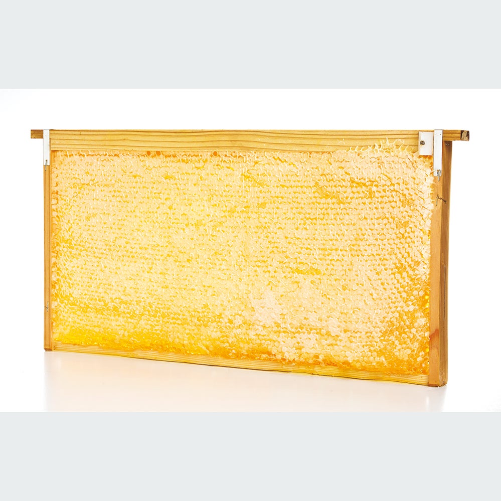 Honeycomb (large) (40cm x 3cm x 20cm)
