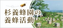 杉養蜂園の養蜂活動