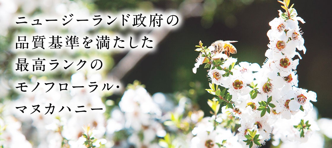 杉養蜂園のマヌカ蜜