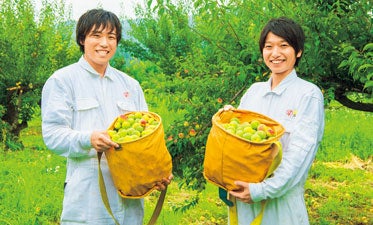 自社梅園で栽培