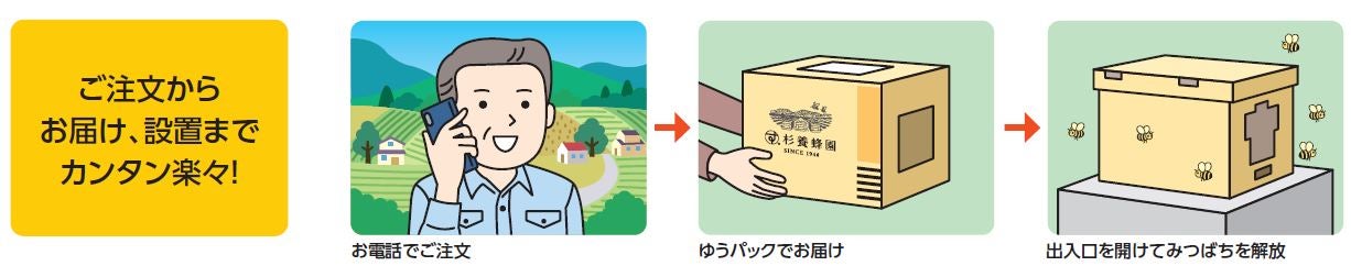 注文からお届け、設置までの流れをわかりやすく説明した4コマ形式の画像です。交配用みつばちの注文、配送、お届け、そして設置までのステップが簡潔に描かれています。