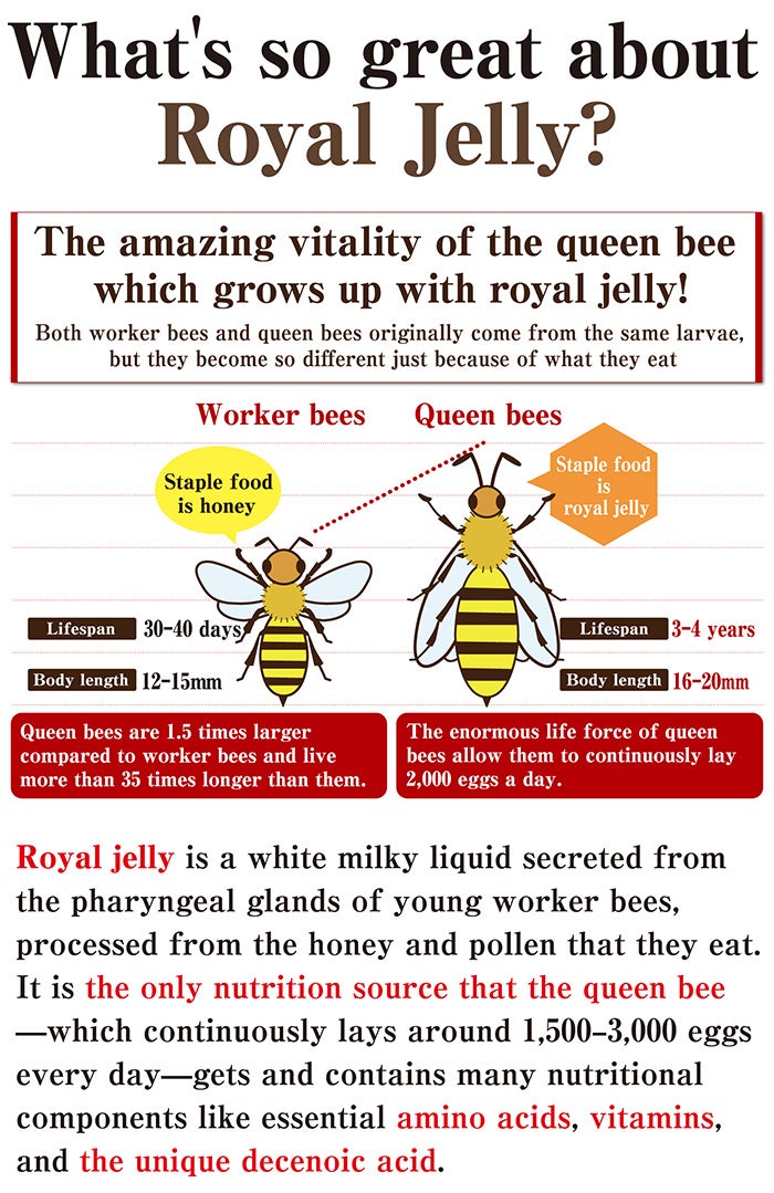 Honey royal jelly deals