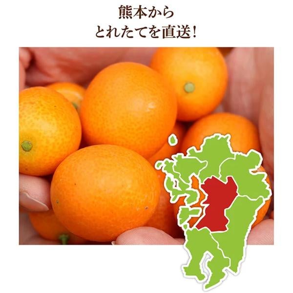 完熟きんかん蜂玉2L【他の商品との同時購入不可・国内配送のみ】