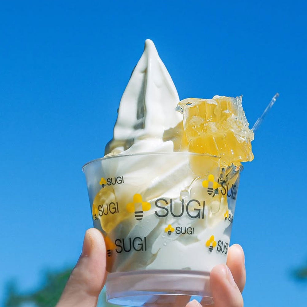 Honeycomb - Made in Japan (10cm x 10cm x 3.5cm) (300g)