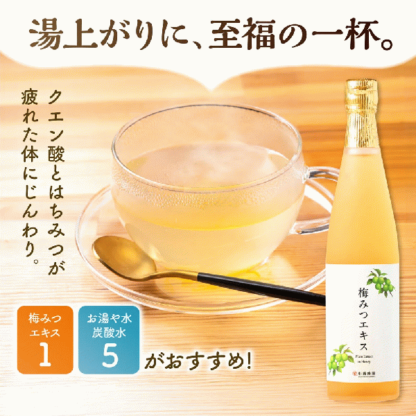 梅みつエキス(500ml)