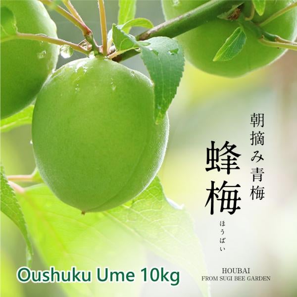 HOUBAI (Oushuku Ume)10kg[Limited to domestic shipping][Oushuku Ume and Nanko Ume cannot be ordered together]