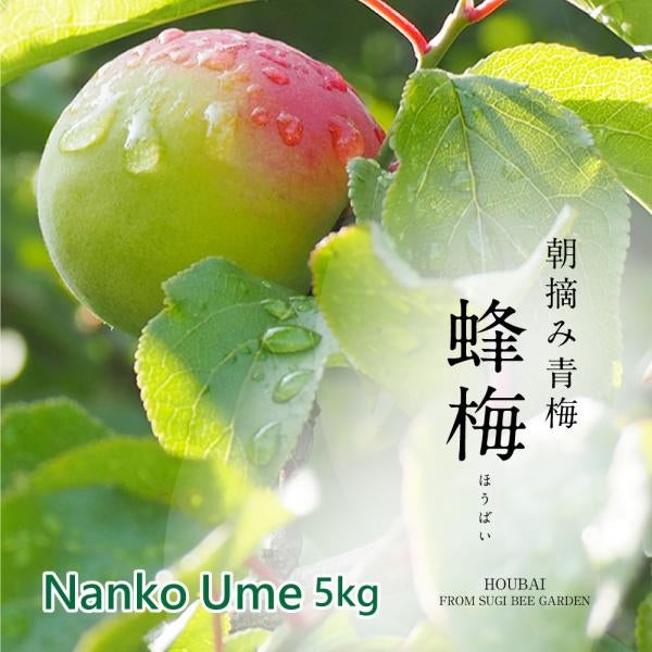 HOUBAI (Nanko Ume)5kg[Limited to domestic shipping][Oushuku Ume and Nanko Ume cannot be ordered together]