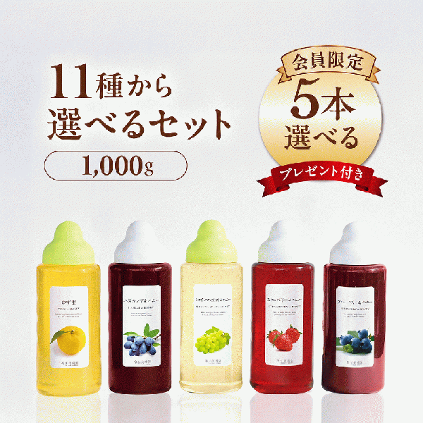 果汁蜜 1000g 選べる5本セット