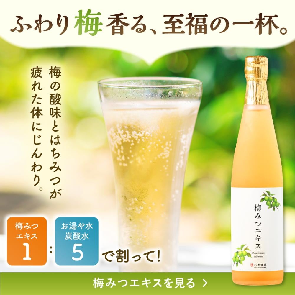 Plum Extract in Honey (500 ml)