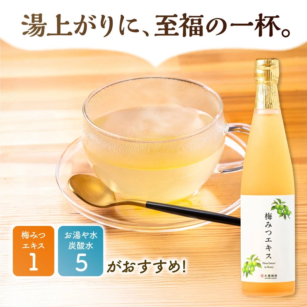 梅みつエキス2本セット