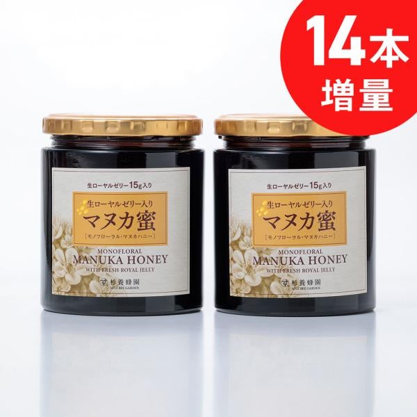 生ローヤルゼリー15g入り マヌカ蜜(マヌカハニー) (500g/瓶)の2本セット