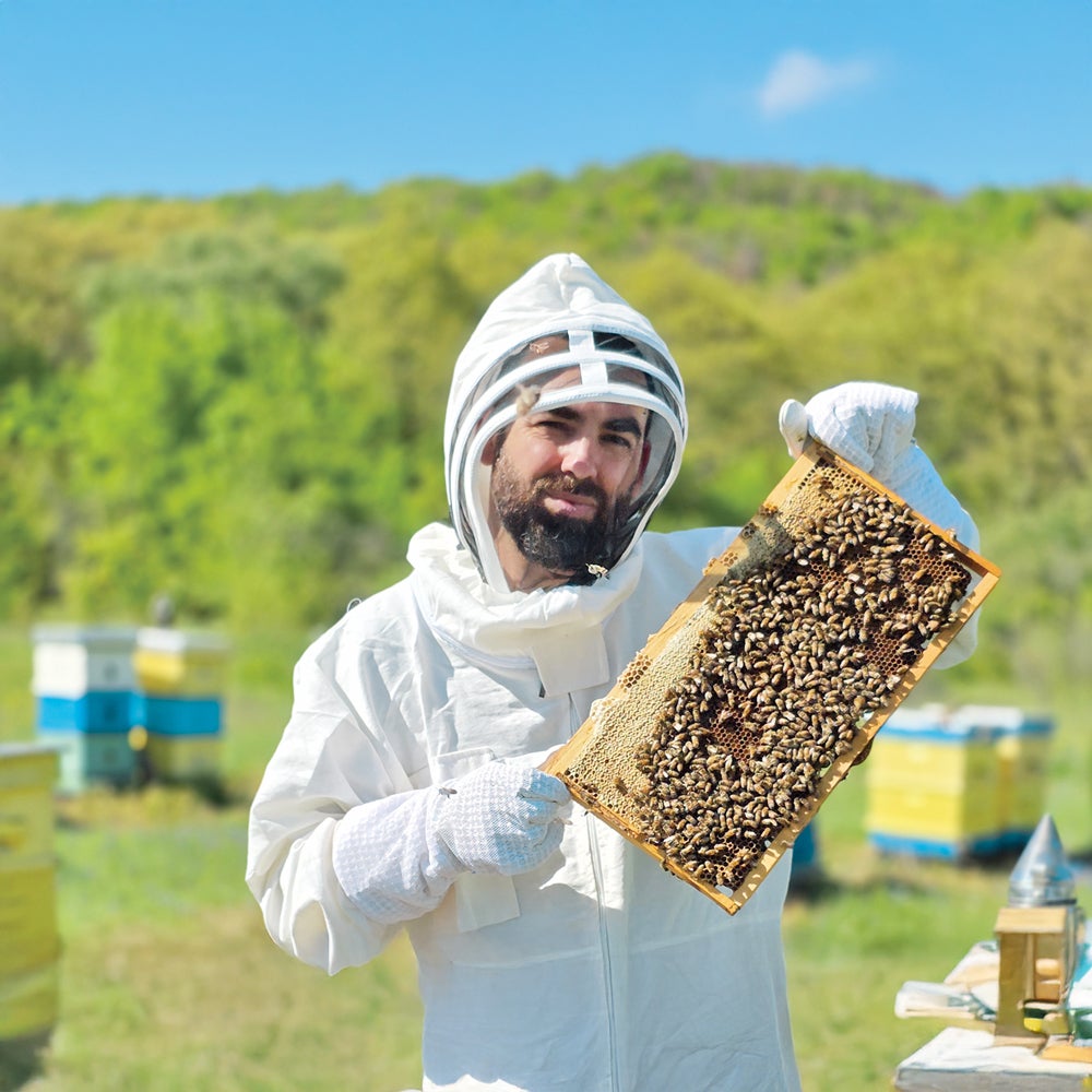 ブルガリア産 ひまわり蜜 (500g/瓶) 2瓶セット