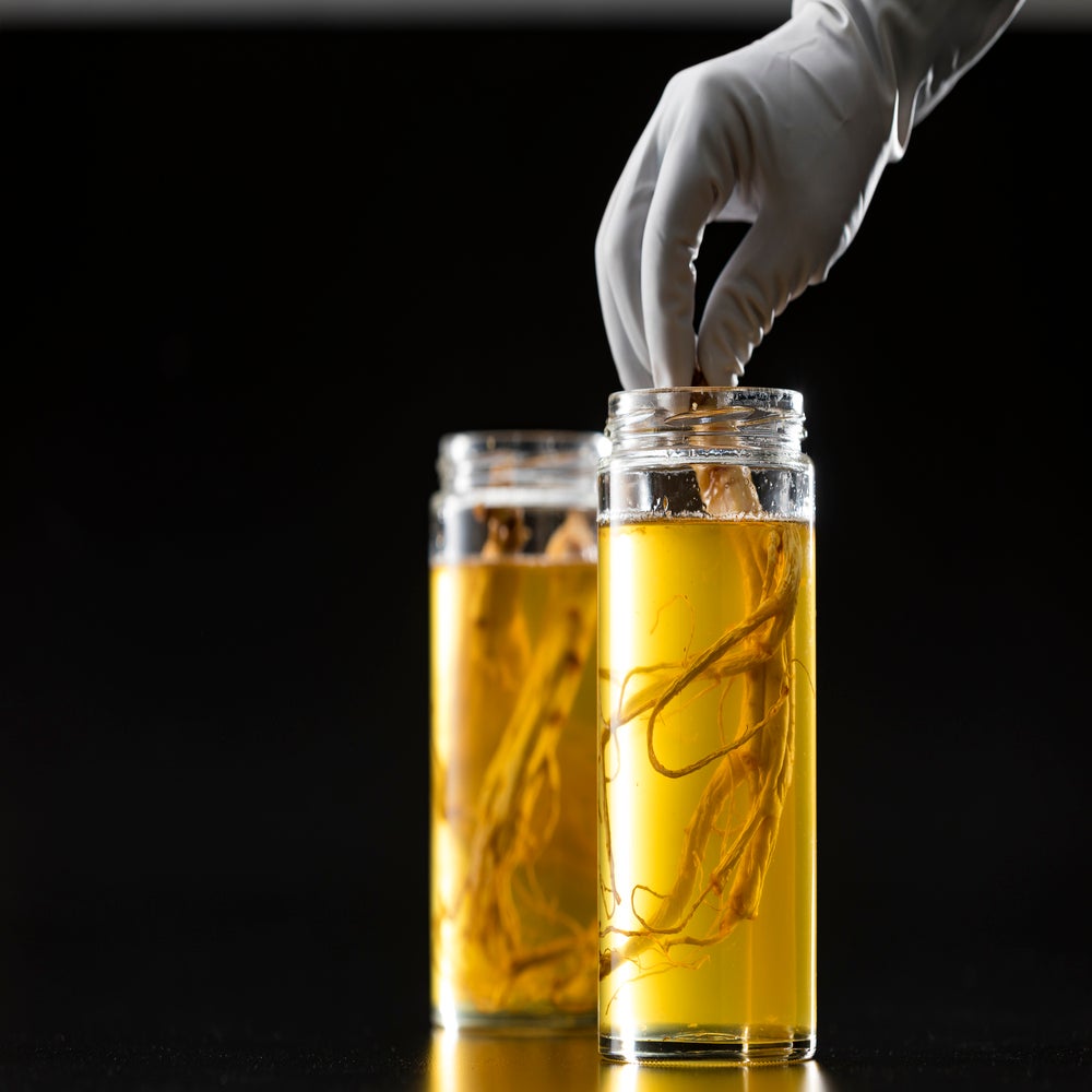 Six-year-old Root Ginseng Pickled in Honey (280g)
