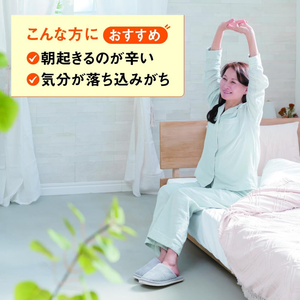 蜂蜜條狀型含蜂王漿 (30條)