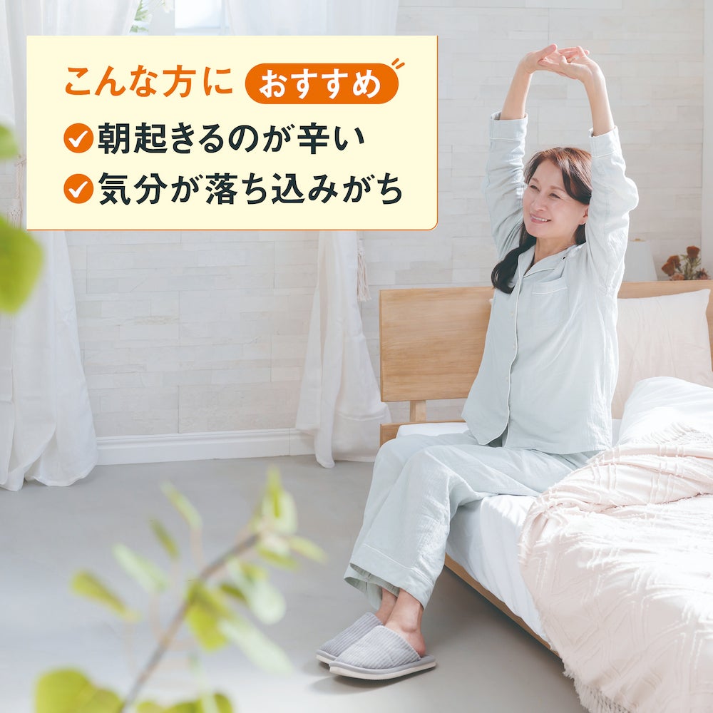 蜂蜜條狀型含蜂王漿 (60條)