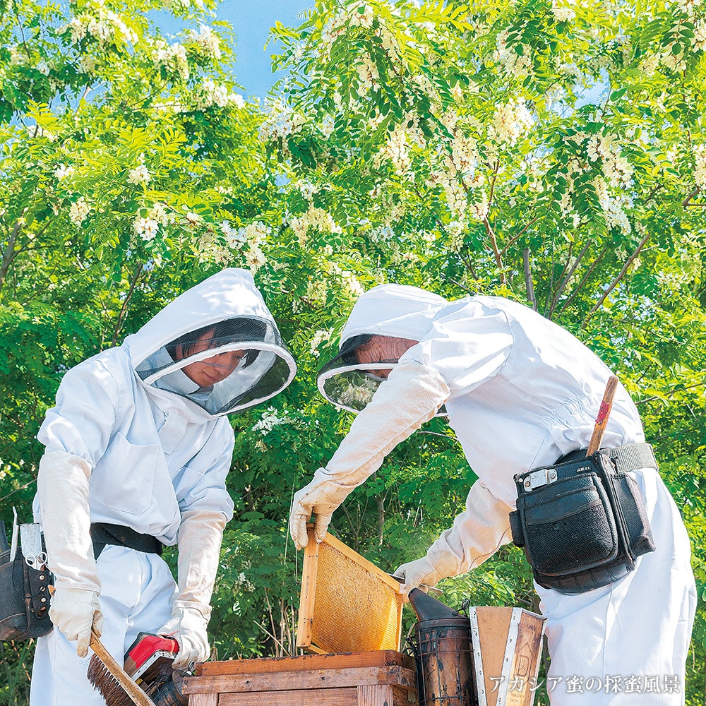 Acacia Honey - Made in Japan (500g / poly)