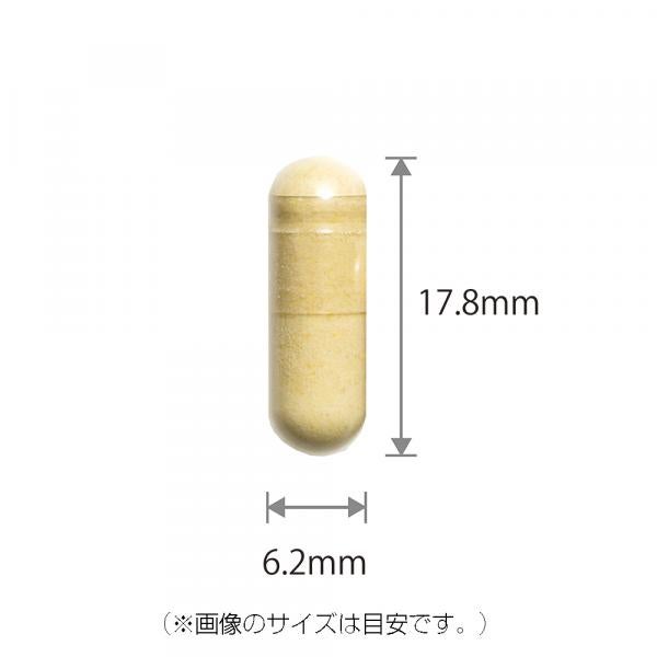 Garlic Royal Jelly with Turmeric(93 capsules)×2 bottles+(93 capsules/31 packs) set