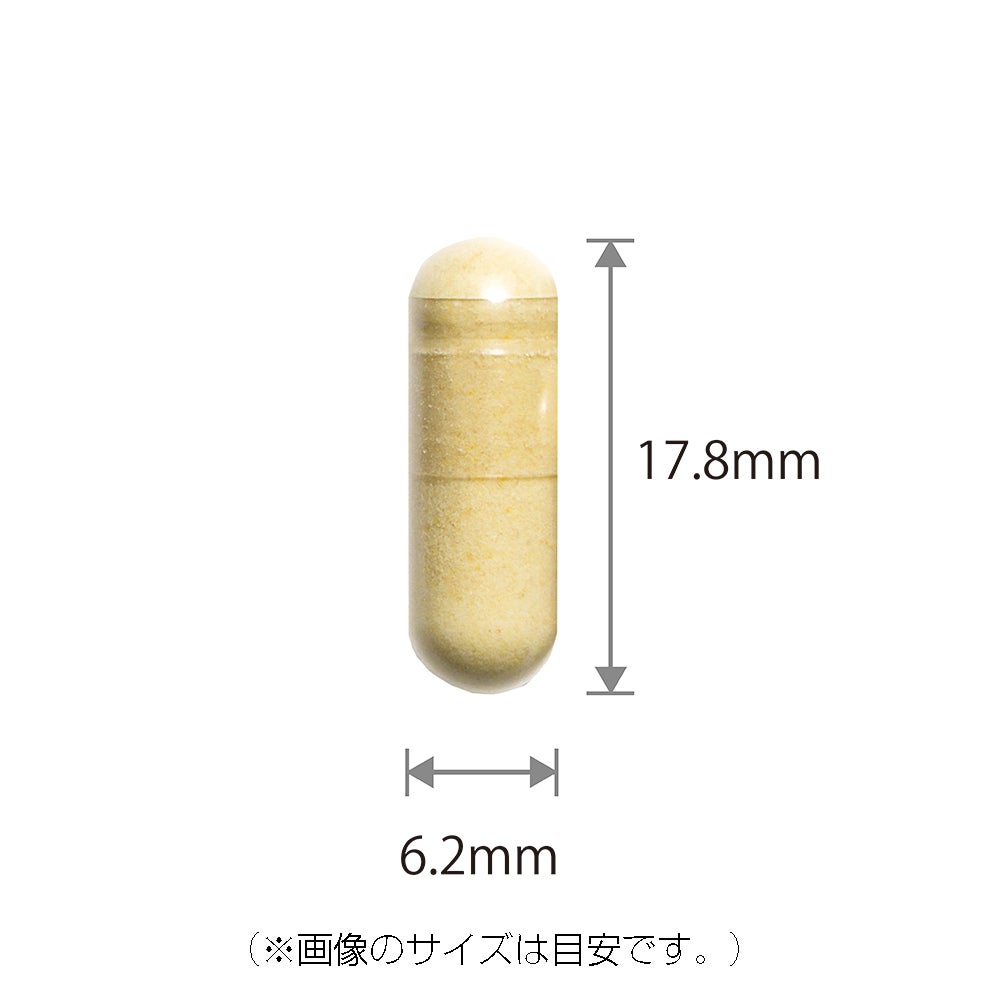 ウコン入り にんにくローヤルゼリー (93粒/瓶)の3本セット (3ヵ月分)