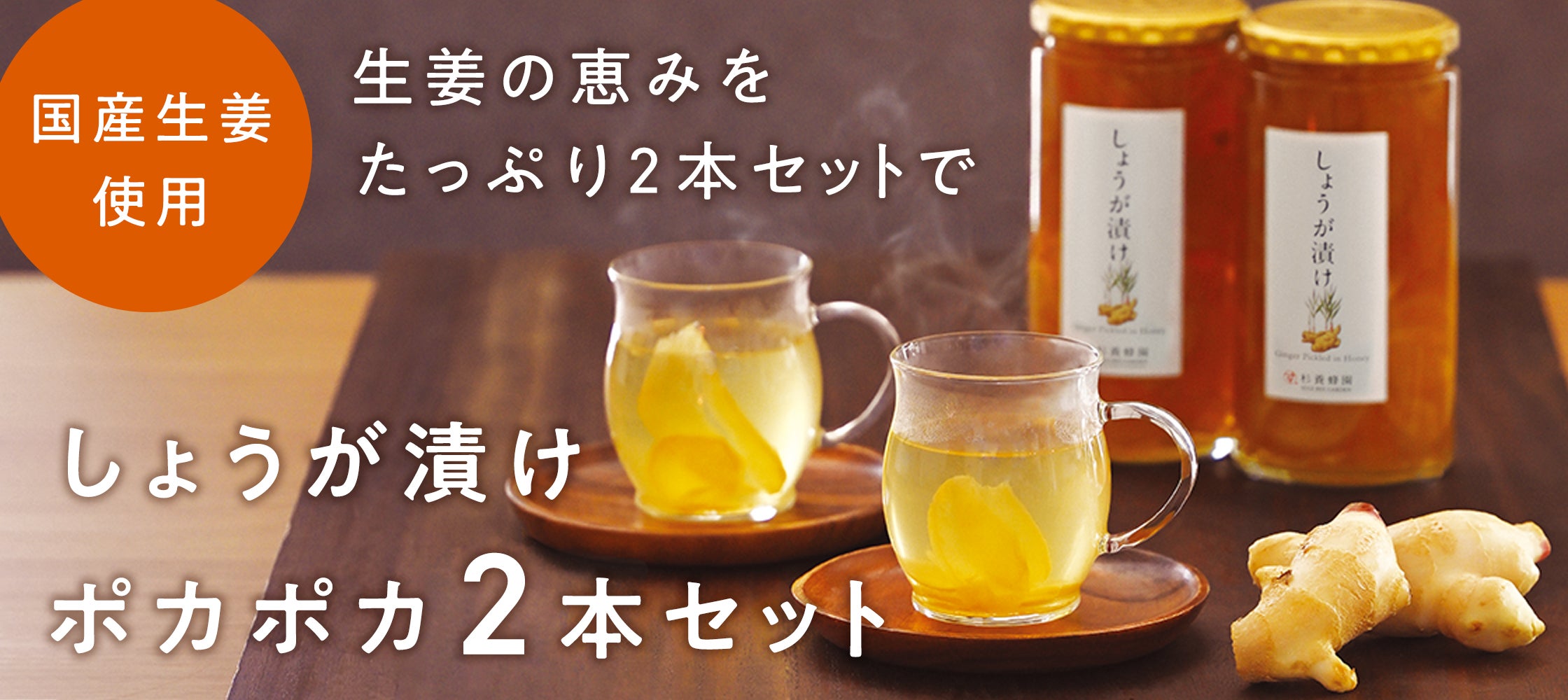 しょうが漬け ポカポカセット 2本セット	