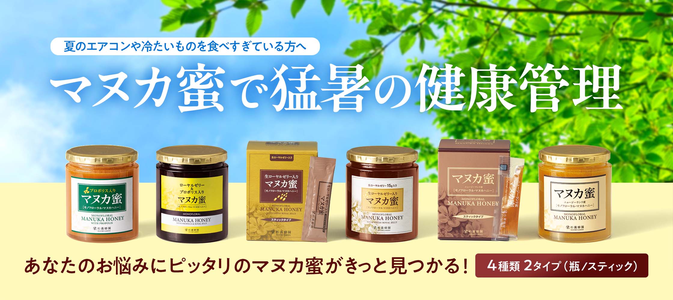 来自杉养蜂园麦卢卡蜂蜜