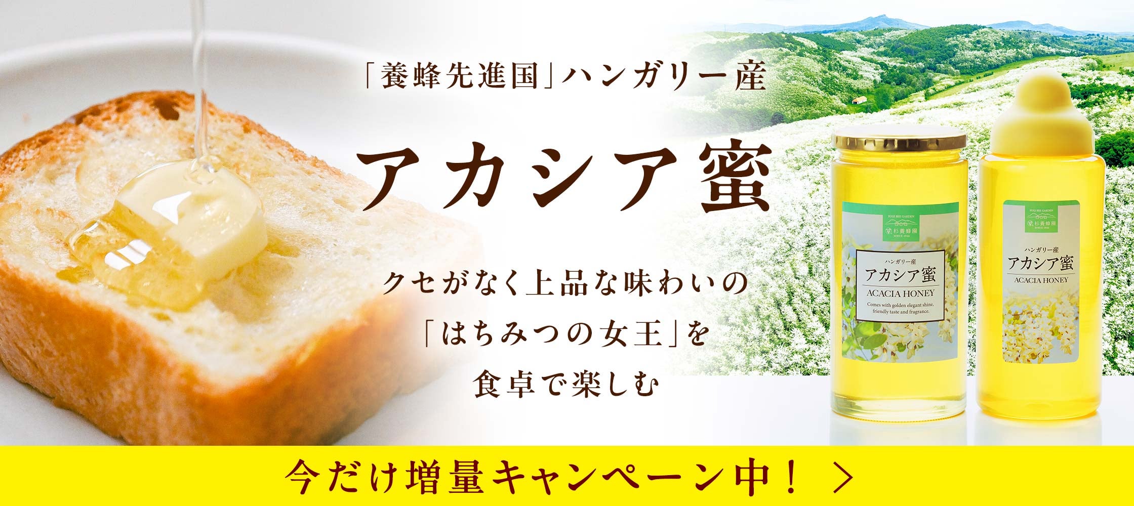杉養蜂園の大人気ハンガリー産アカシア蜜
