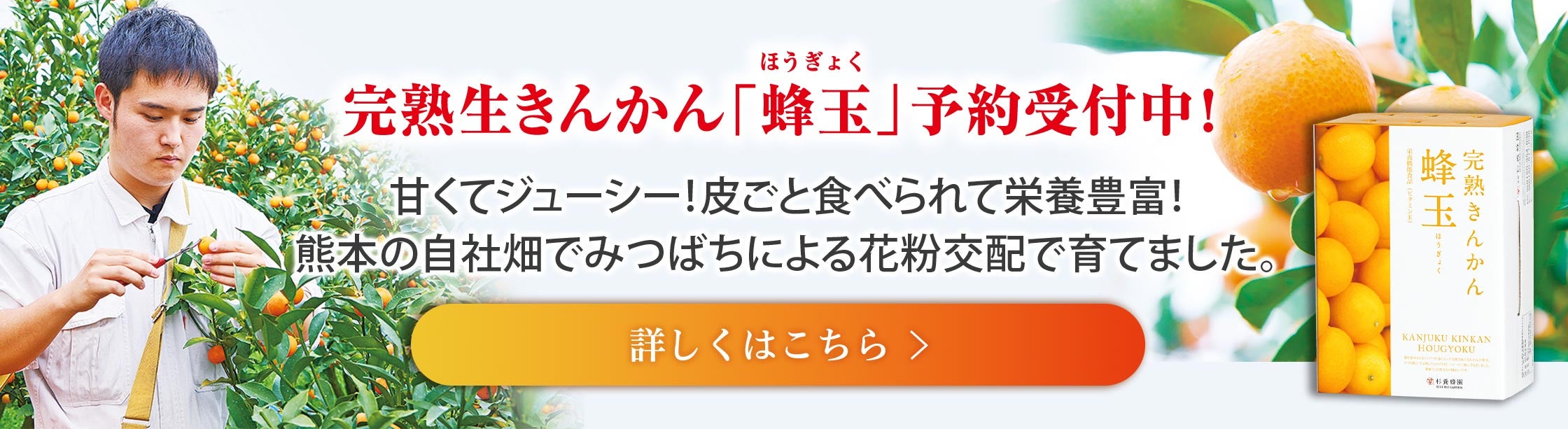 みつばち交配完熟きんかん