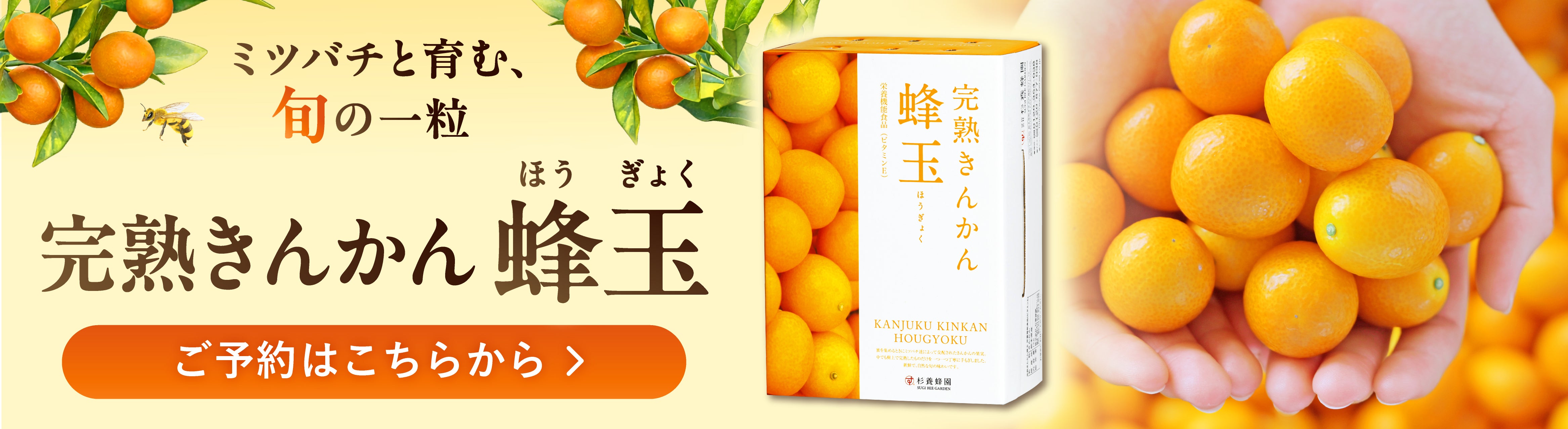 2025年今年の杉養蜂園の新しくとれた完熟きんかん蜂玉の画像