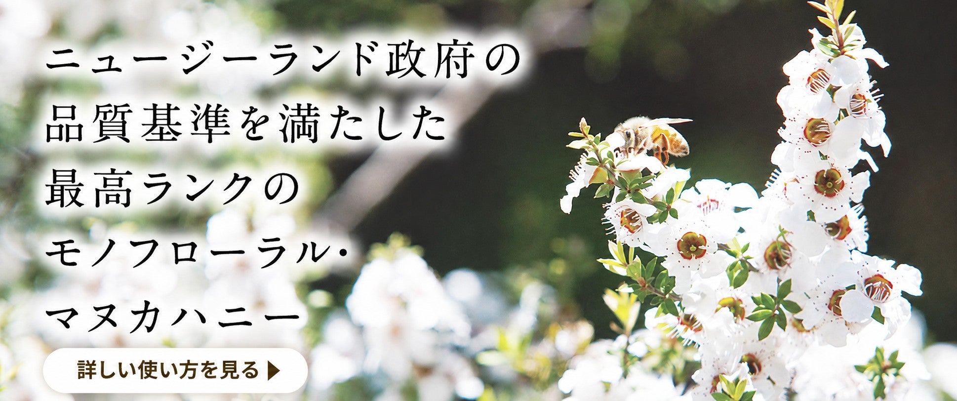 杉養蜂園のマヌカ蜜・マヌカハニー
