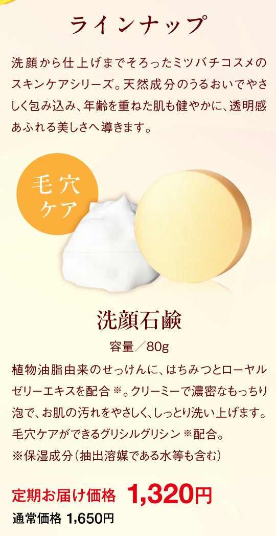 LPセクション04|単品価格と基本情報