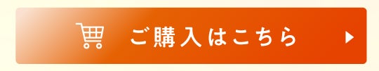 LPセクション09|購入ボタン