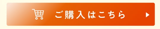 LPセクション11|購入ボタン
