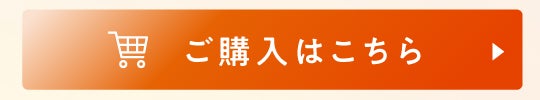 LPセクション13|購入ボタン