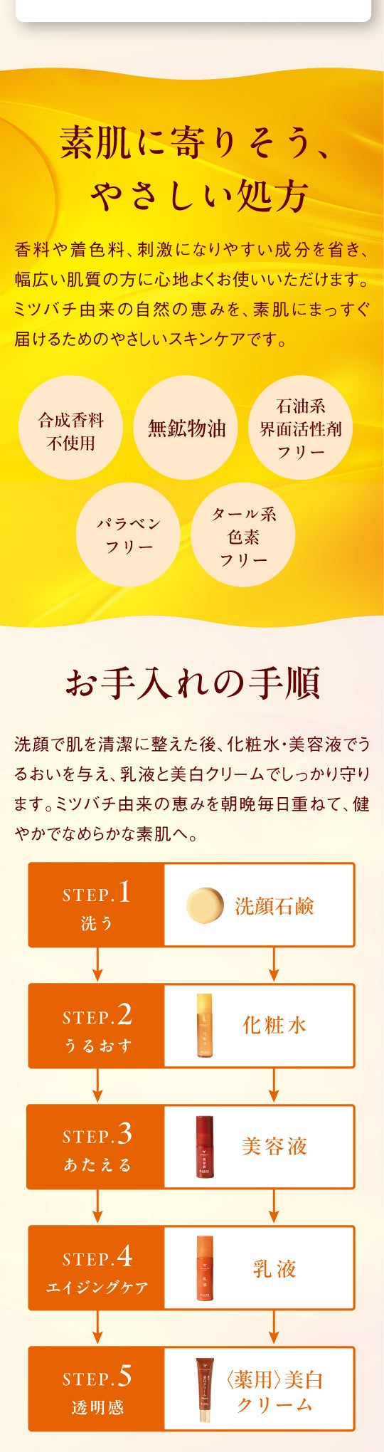LPセクション16|注文手順や入力ガイド