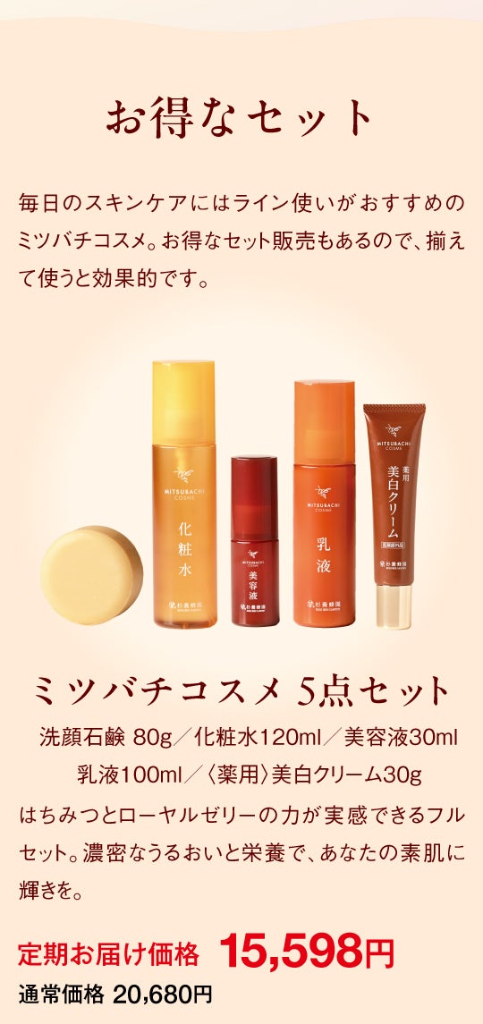 LPセクション17|セット商品のバリエーションC