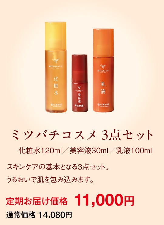 LPセクション19|セット商品の価格訴求D