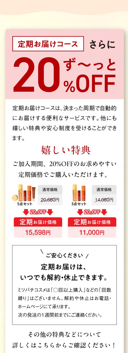 LPセクション21|キャンペーン詳細B(注意事項・ご案内)