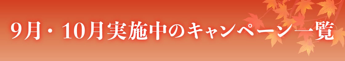 タイトル