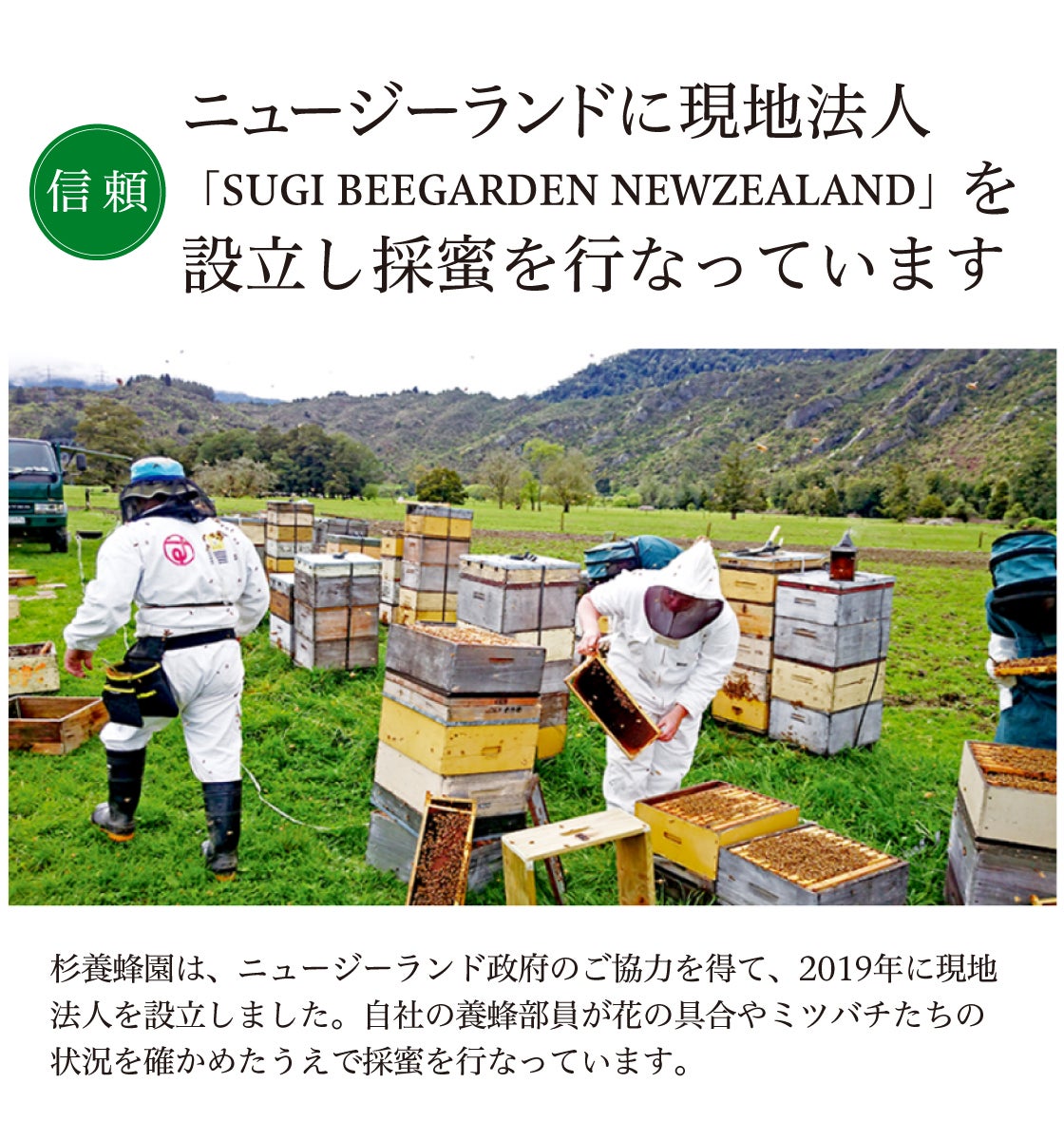 杉養蜂園のマヌカ蜜の紹介画像３つ目