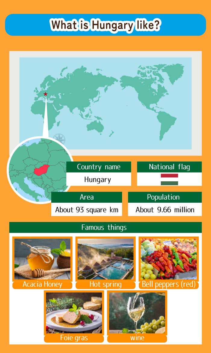 ハンガリーとは